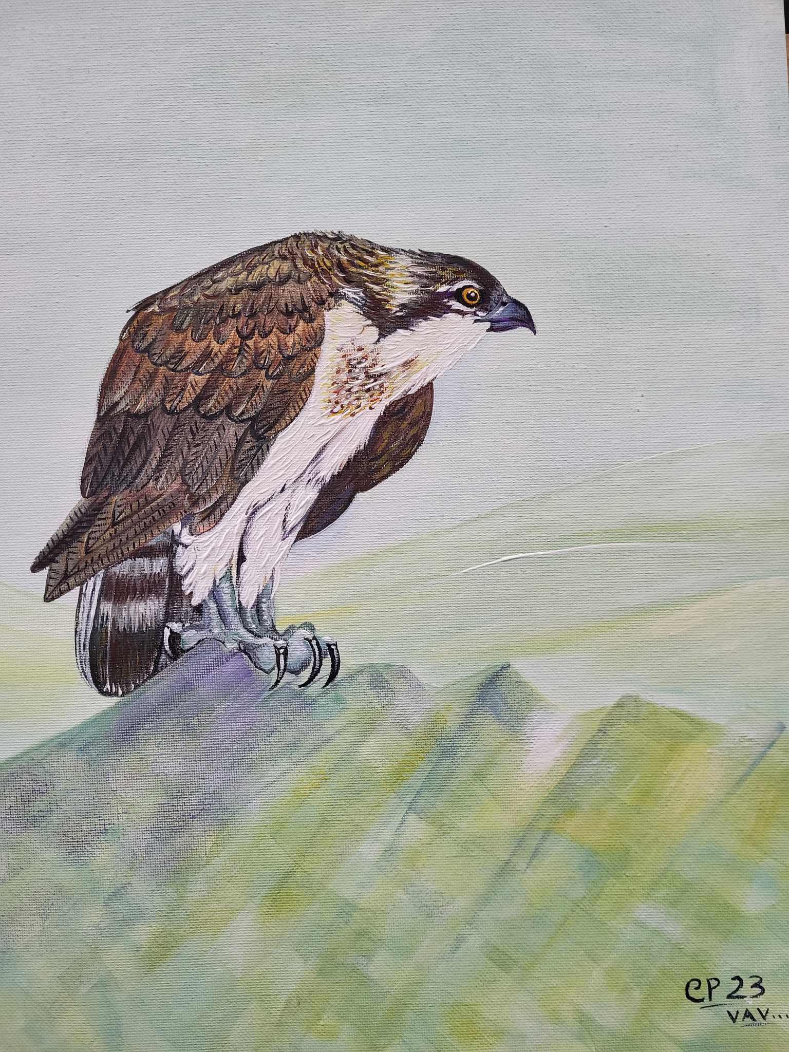 received 280312201188781