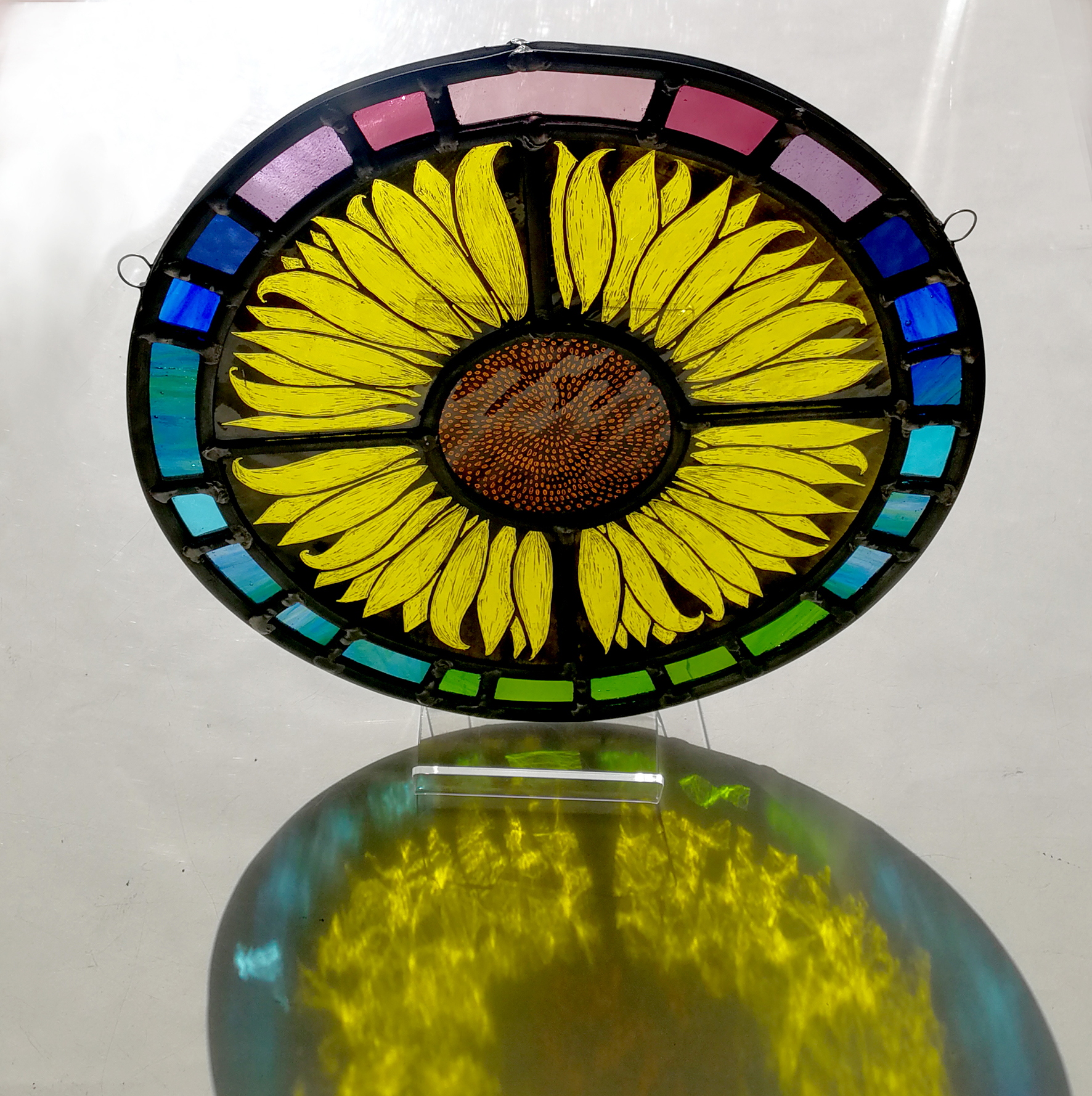 sunflower rainbow in sun s