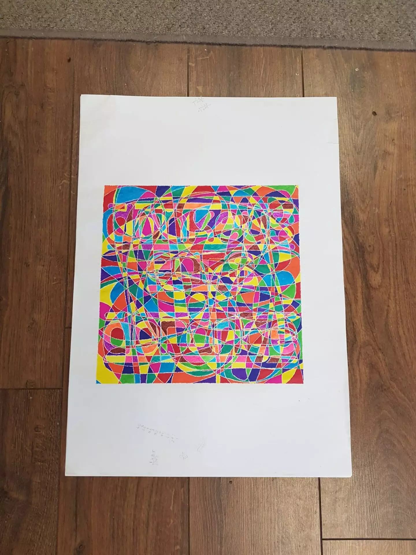 Donkeys Ears Donkeys Ears