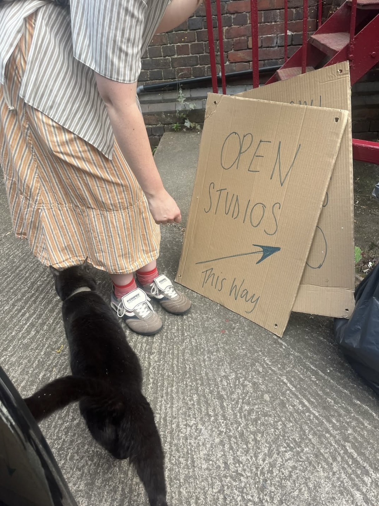 FA76884F E002 449B BAED 9DFD53DACBBE 1 201 a